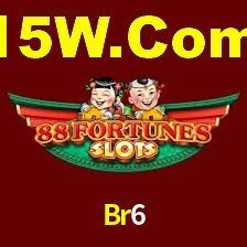 Bonus Features Br6